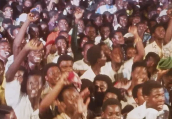 finding-fela.webp