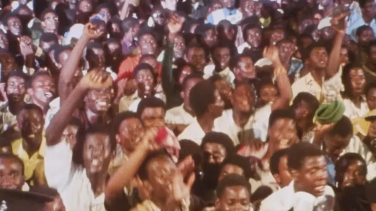 finding-fela.webp