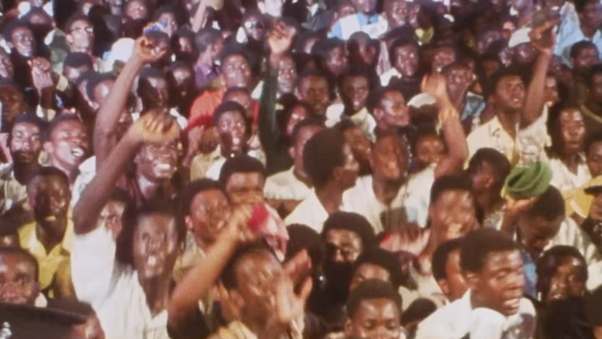 finding-fela.webp